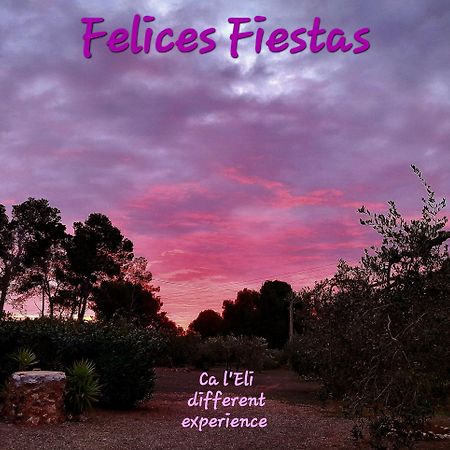 Гостевой дом Ca L'Eli Different Experience Hutt 12157 Mont-roig del Camp Экстерьер фото