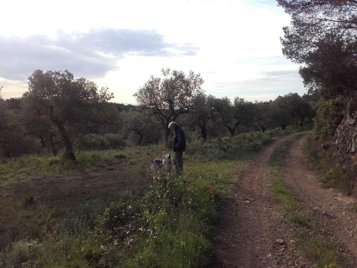 Гостевой дом Ca L'Eli Different Experience Hutt 12157 Mont-roig del Camp Экстерьер фото